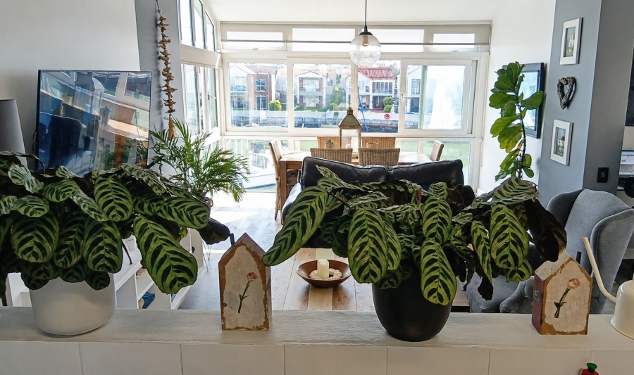 3 Bedroom Property for Sale in Harbour Island Western Cape